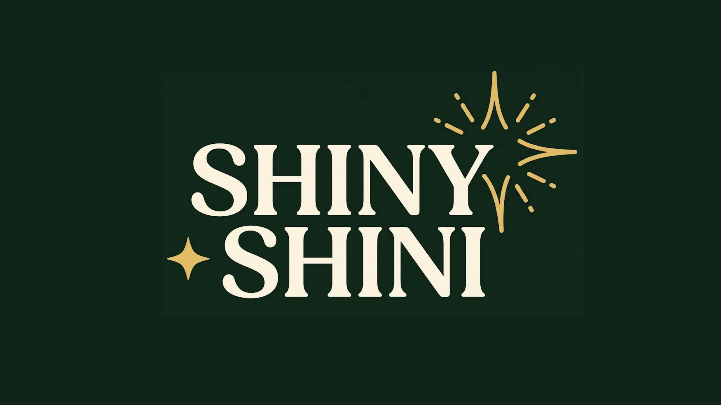 Shiny Shini brand guide, page 5