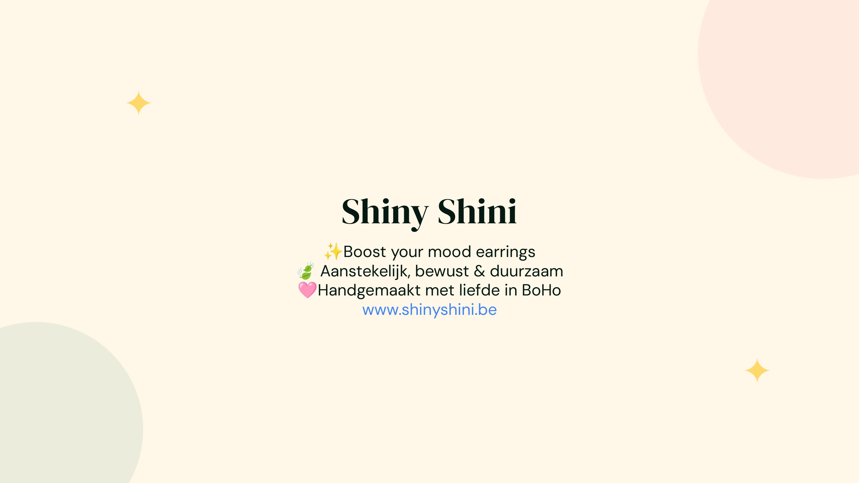 Shiny Shini brand guide, page 11